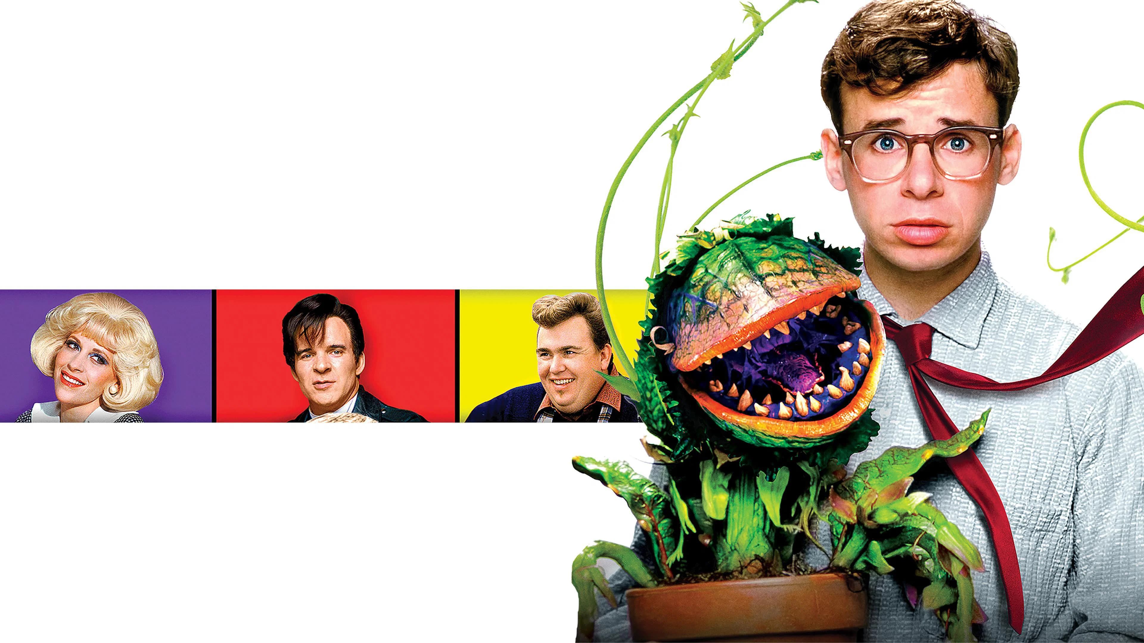 Backdrop for Little Shop of Horrors
