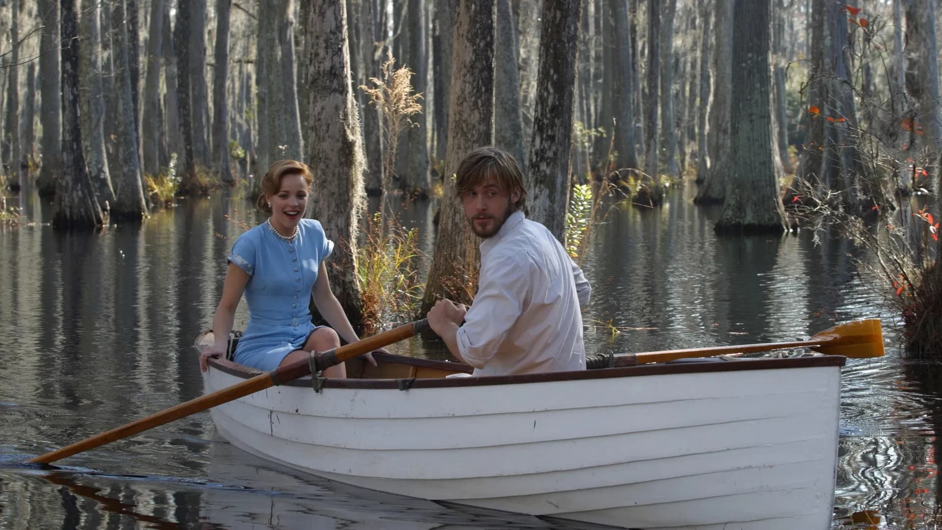 Backdrop for The Notebook